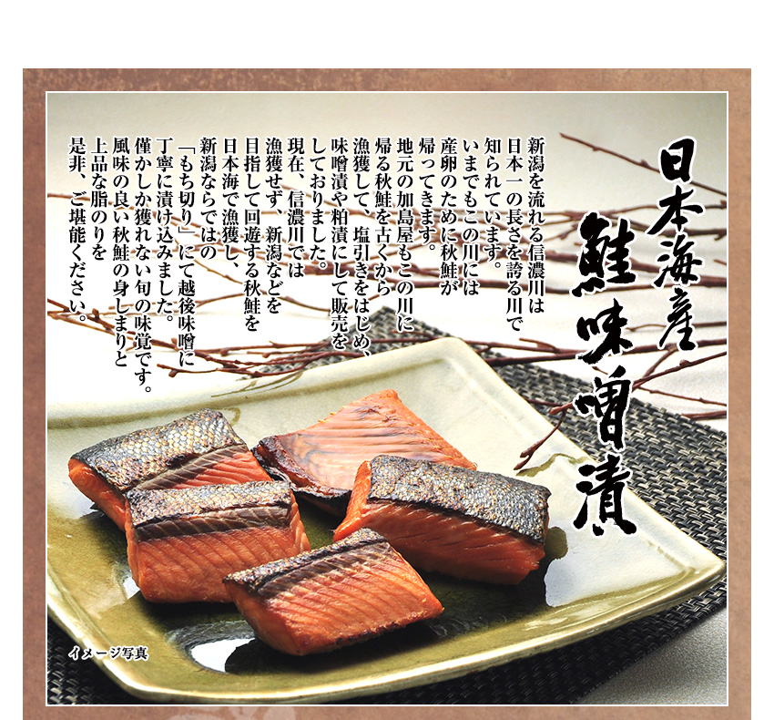 日本海産 鮭味噌漬のご紹介