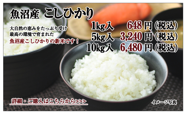 魚沼産こしひかり 1kg入 648円(税込)5kg入 3,240円(税込)10kg入 6,480円(税込)