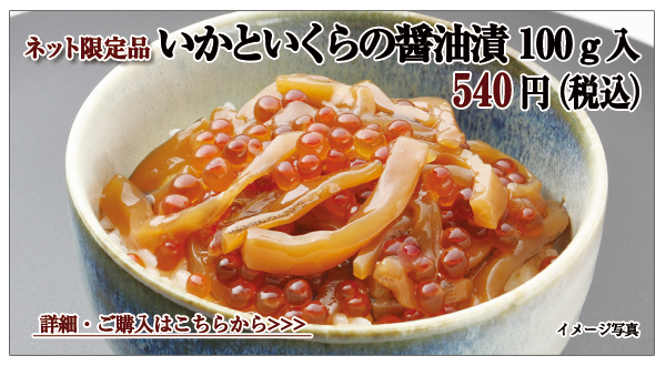 Ƃ̏ݖЁ@100@540~iōj