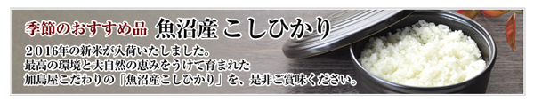 魚沼産こしひかりのご紹介