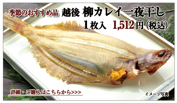 越後 柳カレイ一夜干し 1,512円(税込)