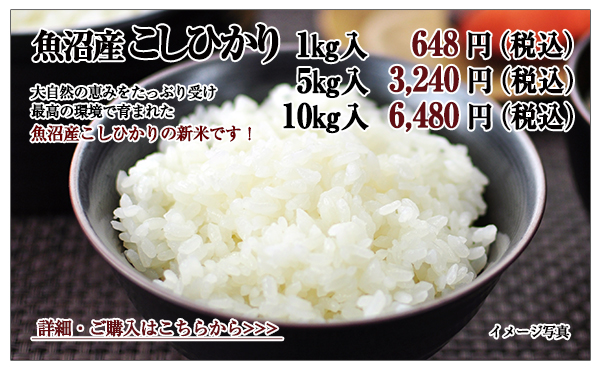 魚沼産こしひかり 1kg入 648円(税込)5kg入 3,240円(税込)10kg入 6,480円(税込)
