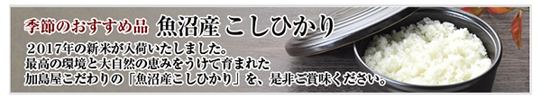 魚沼産こしひかり