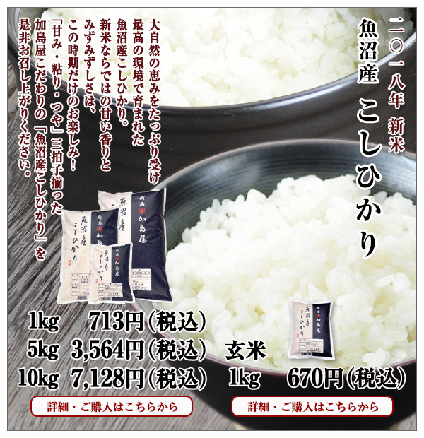 新米 魚沼産こしひかり・玄米のご紹介