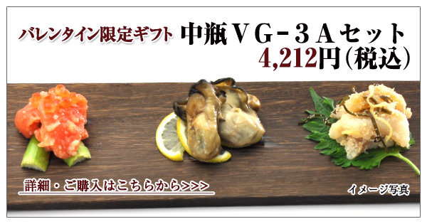 中瓶 VG-3Aセット　4,212円（税込）