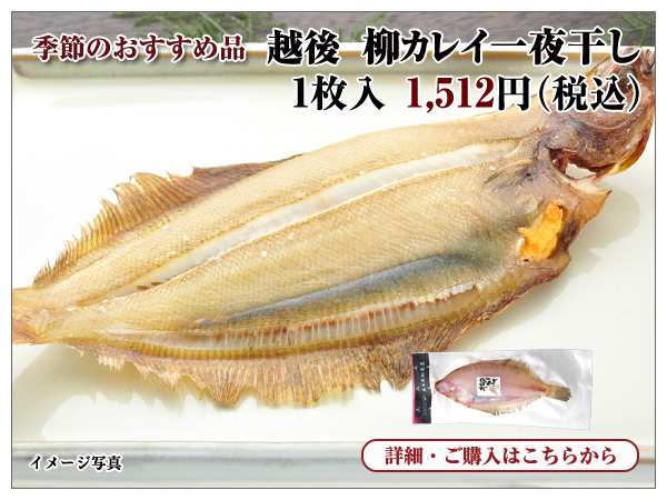 越後 柳カレイ一夜干し 1枚入 1,512円(税込)
