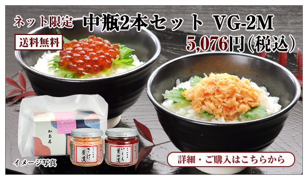 中瓶2本セット VG-2M 5,076円(税込)送料無料