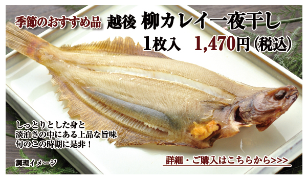 越後 柳カレイ一夜干し 1枚入 1,470円(税込)
