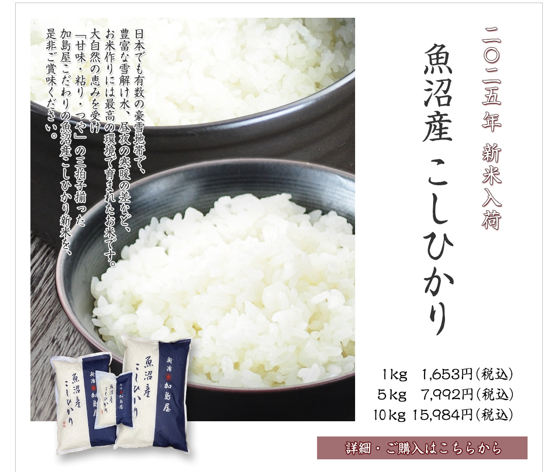 2025年 新米 魚沼産こしひかり