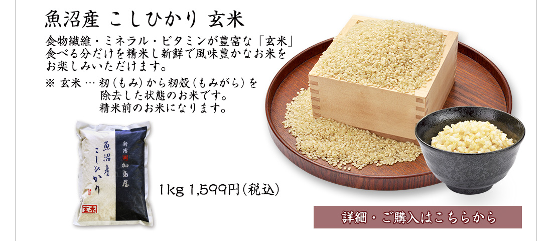 2025年 新米 魚沼産こしひかり 玄米