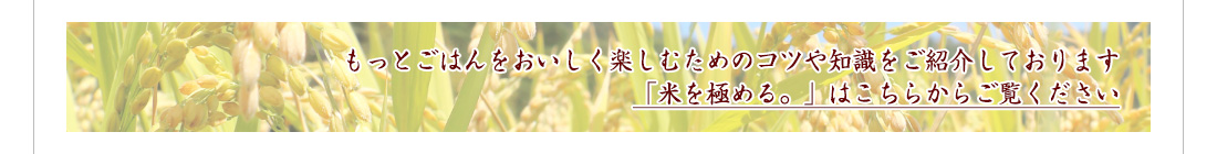 米を極める