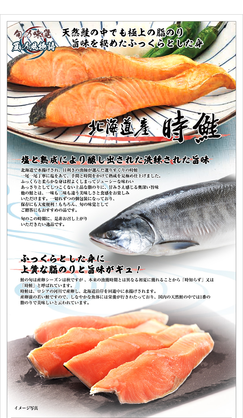 新潟加島屋インターネットショッピングサイト 公式通販 時鮭塩漬のご紹介 新潟加島屋インターネットショッピングサイト 公式通販 時鮭塩漬のご紹介
