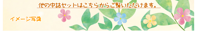中詰セット一覧へのご案内
