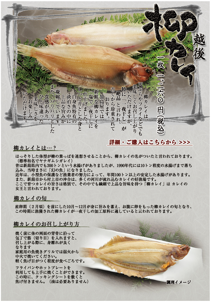 越後 柳カレイ一夜干し