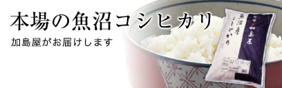 本場の魚沼コシヒカリ 加島屋がお届けします