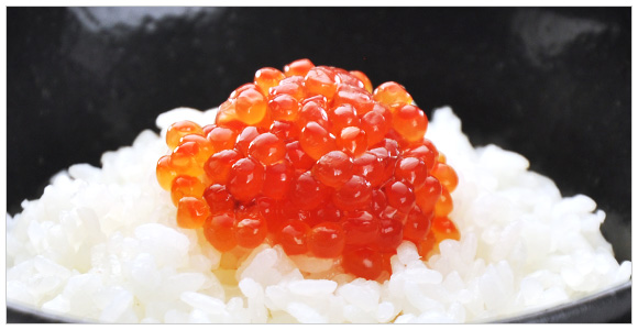 kCY ؎qknЁl120ge@1,836~iōj