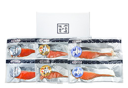 �ؐg�p�b�N�l�ߍ��킹 KP-TSA�@5,616�~�i�ō��j