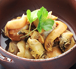 �ԊL�̎����ρ@85g���@389�~�i�ō��j