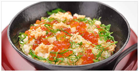 �r�l2�{�Z�b�g WD-1BS�@7,344�~�i�ō��j