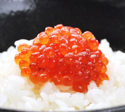 �k�C���Y�؎q�k�n�����Ёl60g�e����@1,620�~�i�ō��j