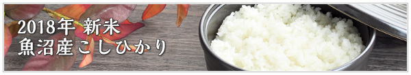 2018年 新米 魚沼産こしひかりのご紹介