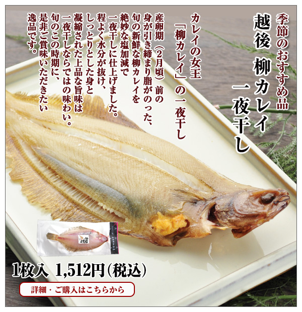 越後 柳カレイ一夜干し 1枚入 1,512円(税込)