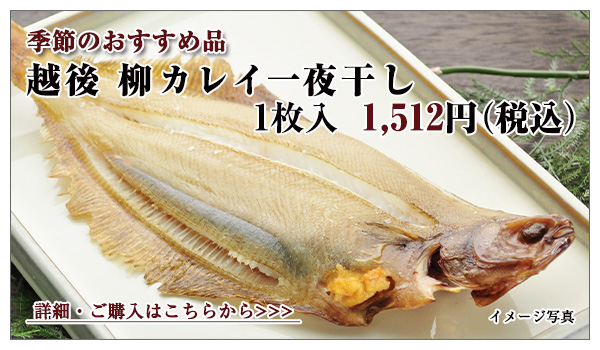 越後 柳カレイ一夜干し 1枚入 1,512円(税込)