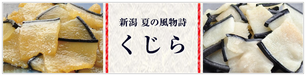 新潟 夏の風物詩 くじら