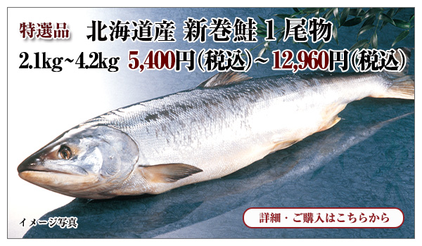 北海道産 新巻鮭1尾物　2.1kg～4.2kg　5,400円（税込）～12,960円（税込）