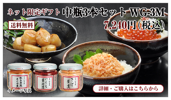 中瓶3本セット WG-3M 7,240円(税込)送料無料