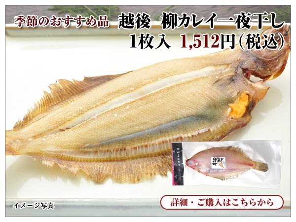 越後 柳カレイ一夜干し 1枚入 1,512円(税込)