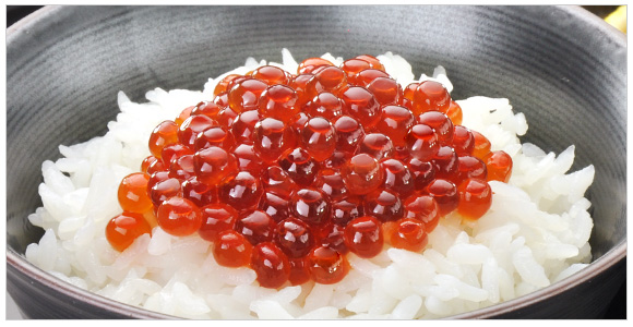 ̂܂ 80g@1,512~iōj